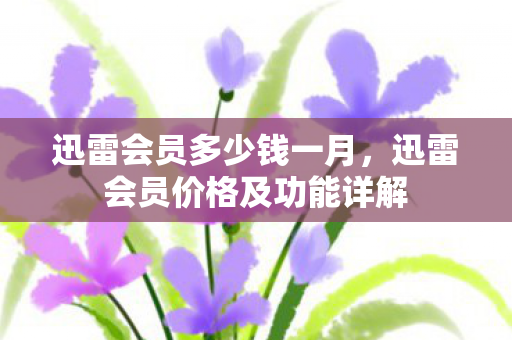 迅雷会员多少钱一月，迅雷会员价格及功能详解