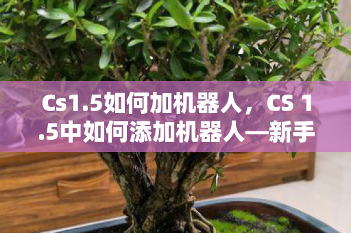 Cs1.5如何加机器人，CS 1.5中如何添加机器人—新手教程