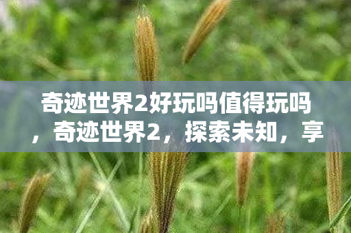 奇迹世界2好玩吗值得玩吗，奇迹世界2，探索未知，享受冒险的乐趣