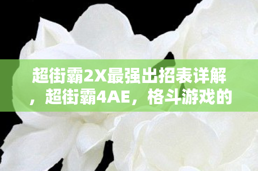 超街霸2X最强出招表详解，超街霸4AE，格斗游戏的巅峰之作