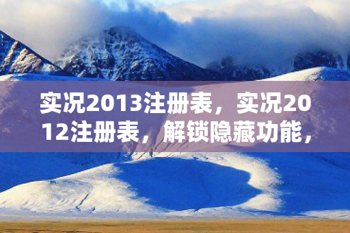 实况2013注册表图片