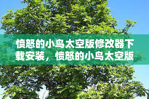 愤怒的小鸟太空版修改器下载安装图片