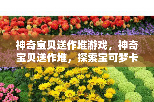 探索宝可梦卡牌文化的魅力图片