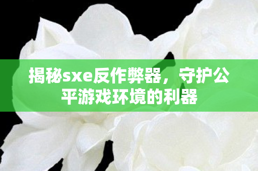 揭秘sxe反作弊器，守护公平游戏环境的利器