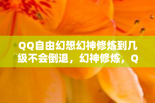 QQ自由幻想幻神修炼到几级不会倒退图片