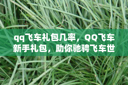 助你驰骋飞车世界的起点图片