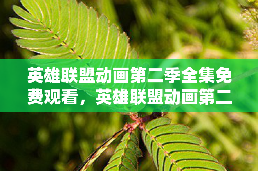 英雄联盟动画第二季全集免费观看，英雄联盟动画第二季，战火重燃的召唤