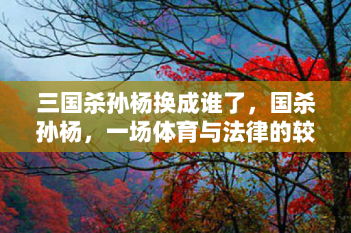 三国杀孙杨换成谁了，国杀孙杨，一场体育与法律的较量