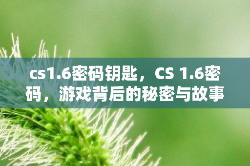 cs1.6密码钥匙，CS 1.6密码，游戏背后的秘密与故事