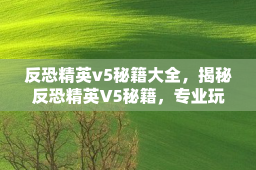 反恐精英v5秘籍大全，揭秘反恐精英V5秘籍，专业玩家的制胜之道