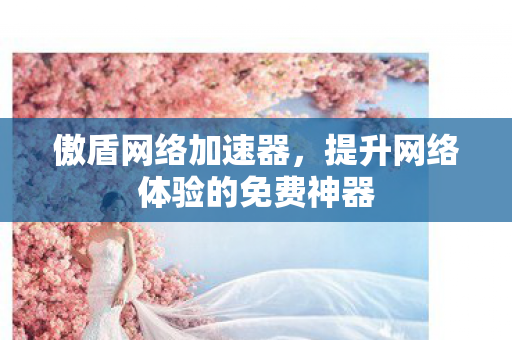 提升网络体验的免费神器图片