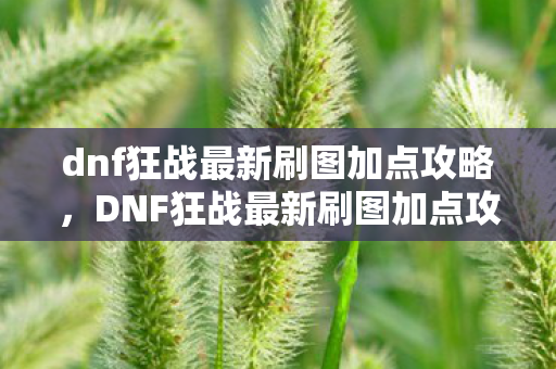 dnf狂战最新刷图加点攻略图片