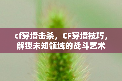 解锁未知领域的战斗艺术图片