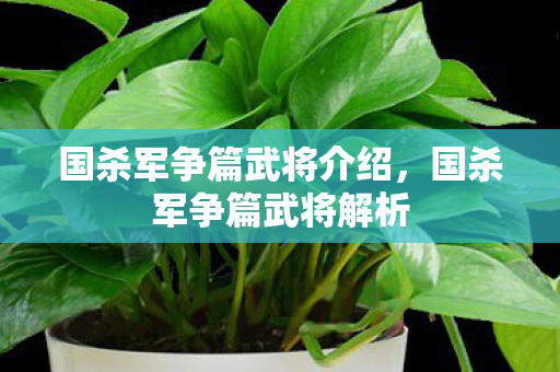 国杀军争篇武将介绍，国杀军争篇武将解析