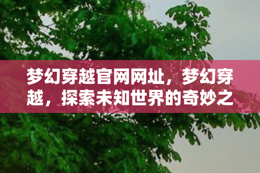 探索未知世界的奇妙之旅图片