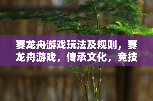 赛龙舟游戏玩法及规则图片