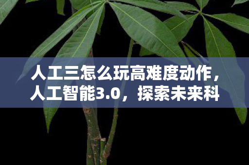 人工三怎么玩高难度动作图片