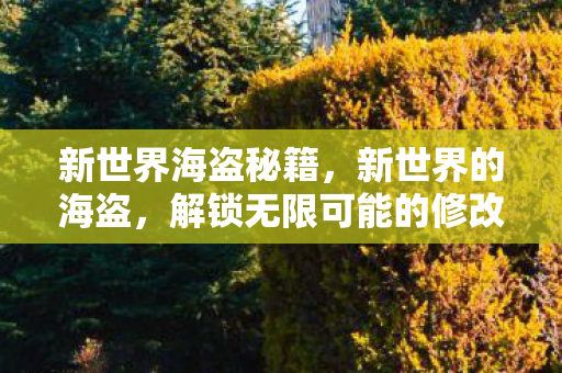 解锁无限可能的修改器图片