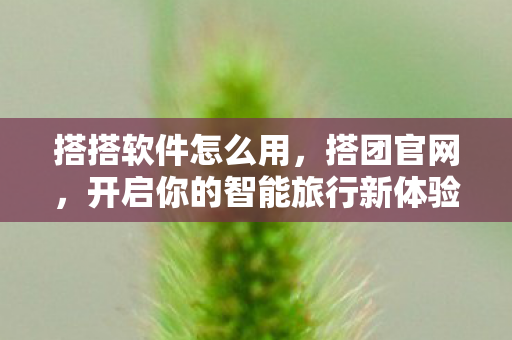 开启你的智能旅行新体验图片