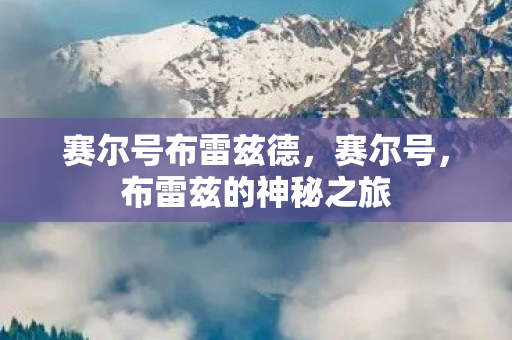 布雷兹的神秘之旅图片