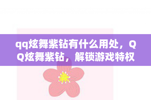 qq炫舞紫钻有什么用处图片