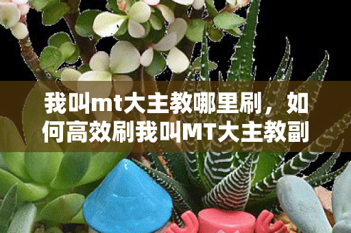 如何高效刷我叫MT大主教副本攻略图片