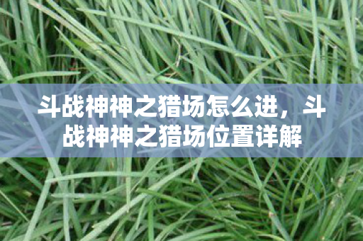 斗战神神之猎场位置详解图片