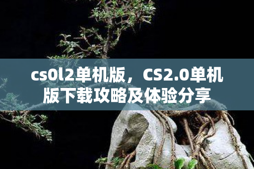 cs0l2单机版，CS2.0单机版下载攻略及体验分享