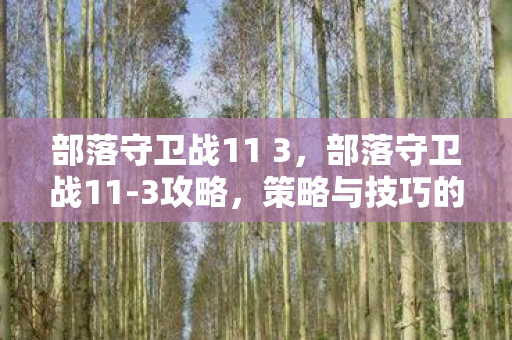 策略与技巧的全面解析图片