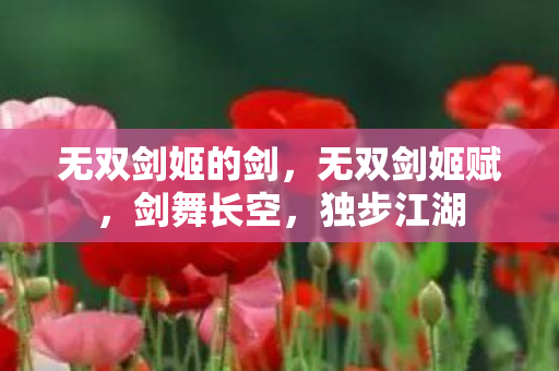 无双剑姬的剑图片