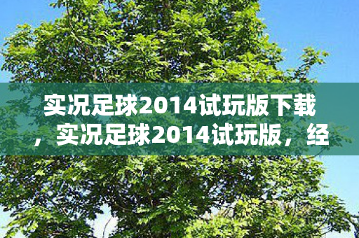 实况足球2014试玩版下载图片