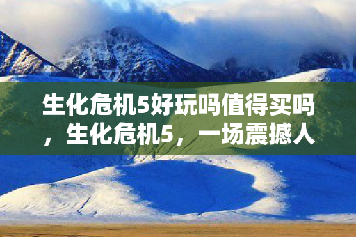 生化危机5好玩吗值得买吗图片