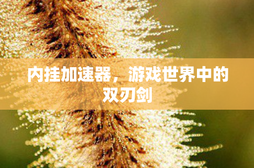 游戏世界中的双刃剑图片