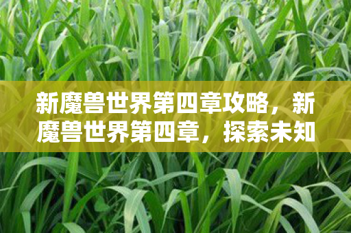 新魔兽世界第四章攻略图片