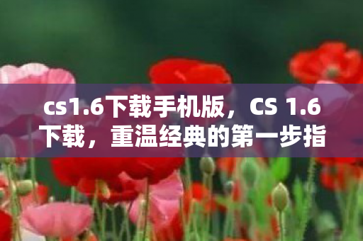 cs1.6下载手机版，CS 1.6下载，重温经典的第一步指南