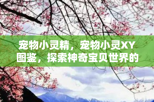 探索神奇宝贝世界的奇妙之旅图片