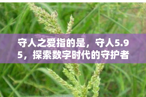 探索数字时代的守护者图片