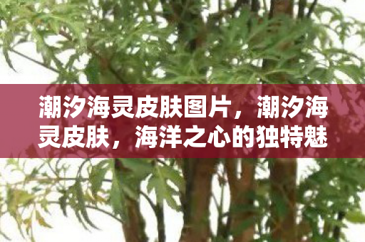 海洋之心的独特魅力图片