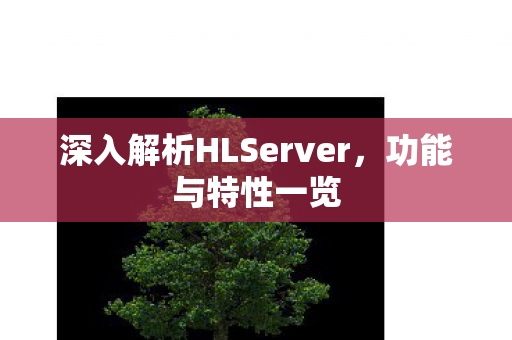 深入解析HLServer，功能与特性一览
