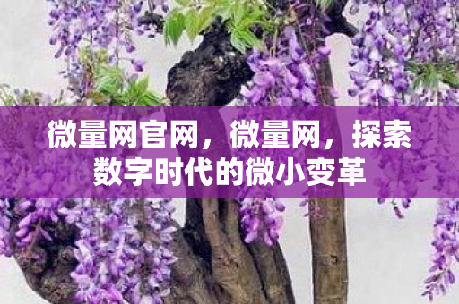 探索数字时代的微小变革图片