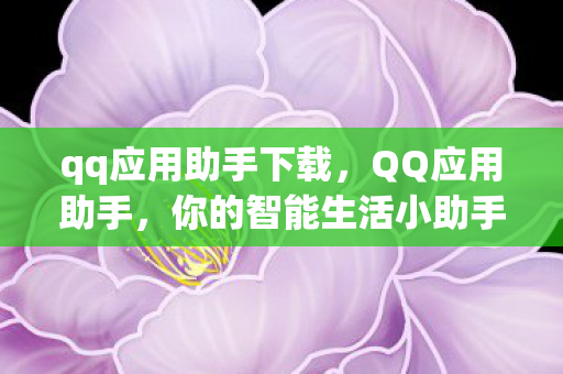 你的智能生活小助手图片