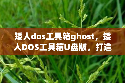 矮人dos工具箱ghost图片