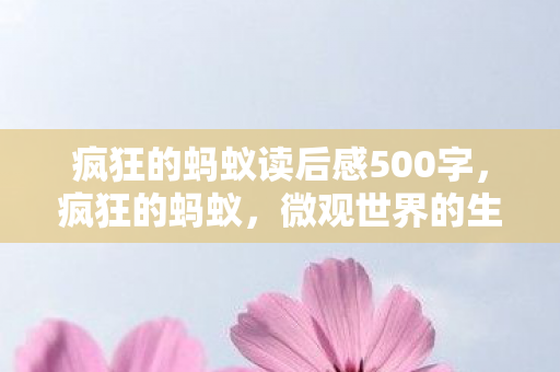 疯狂的蚂蚁读后感500字图片