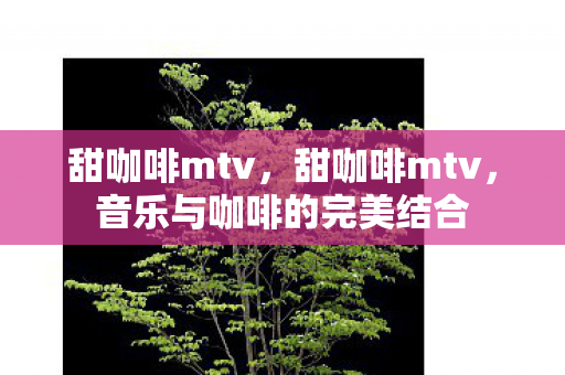 甜咖啡mtv，甜咖啡mtv，音乐与咖啡的完美结合