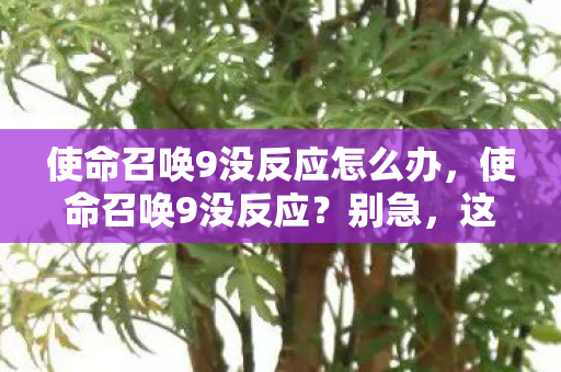 使命召唤9没反应怎么办图片