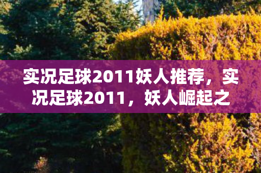 实况足球2011妖人推荐图片