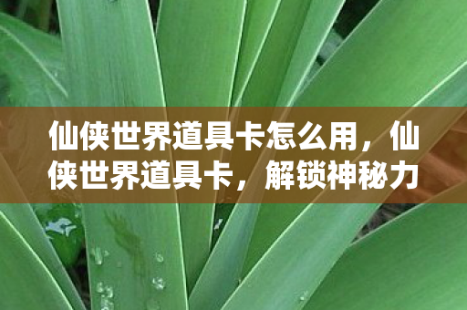 仙侠世界道具卡怎么用图片