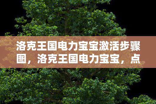 洛克王国电力宝宝激活步骤图图片