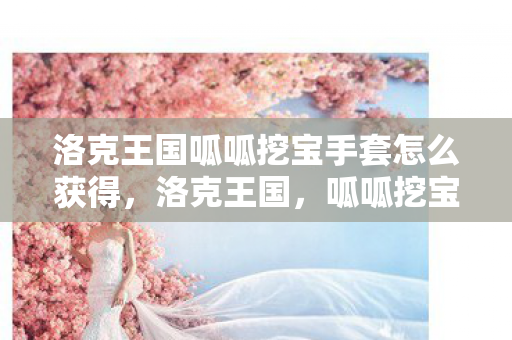 洛克王国呱呱挖宝手套怎么获得图片