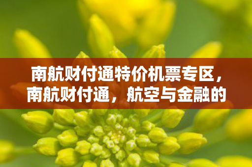 南航财付通特价机票专区图片